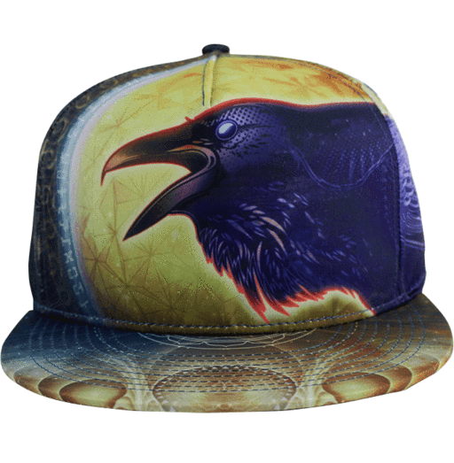 Snap Back Hat